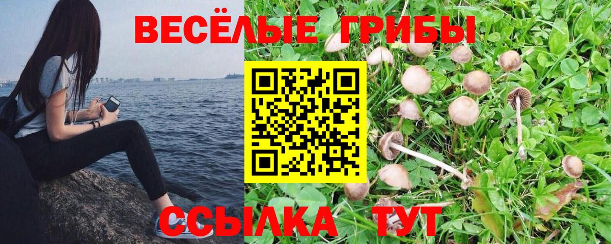 Галлюциногенные грибы ЛСД Калининград